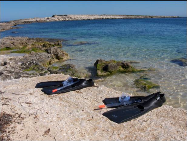 Snorkel uitrusting